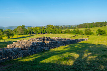 Obraz premium Black Carts Turret in Hadrian's Wall ruin near village of Chollerford in town of Hexham in England, UK. 