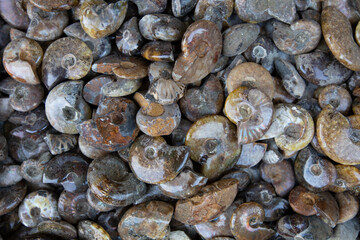 Closeup of various colorful stones quartz, marbles, ore minerals, gems use as ornament and...