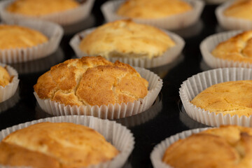 baked delicious and fresh cupcakes in cupcake molds