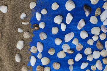 Seashells frame on wooden background nautical border