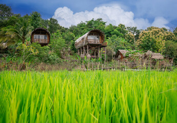 Homestay in the forest House made of bamboo at  Chiang Dao District, Chiang Mai Province, Thailand.
