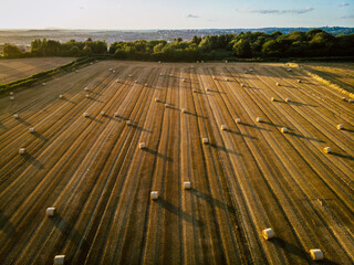Hay Bales at Sunset