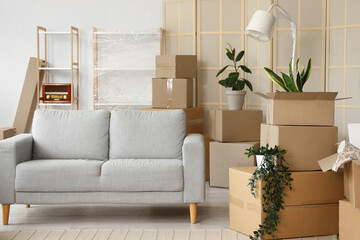 Cardboard boxes with houseplants and lamp in living room on moving day