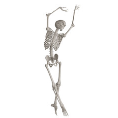 skeleton posing 3d render illustration