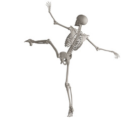 skeleton posing 3d render illustration with transparent background	
