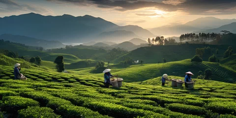 Foto op Canvas Tea Plantation Landscape. Generative AI © piai