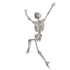 skeleton posing 3d render illustration