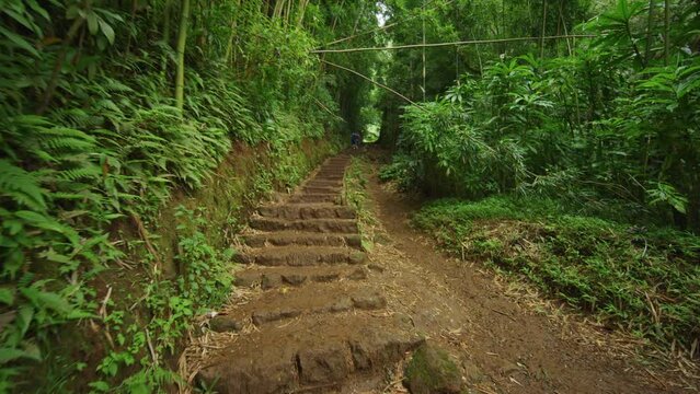 Manoa waterfall hike up dirt stairs trail