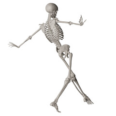 skeleton posing 3d render illustration with transparent background
