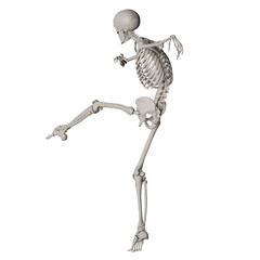 skeleton posing 3d render illustration with transparent background