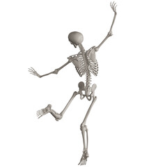 skeleton posing 3d render illustration