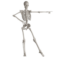 skeleton posing 3d render illustration