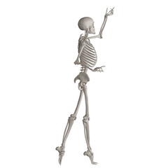 skeleton posing 3d render illustration with transparent background