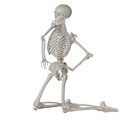 skeleton posing 3d render illustration with transparent background