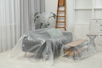 Modern furniture, houseplant covered with plastic film and step ladder at home