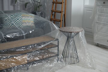 Modern furniture, houseplant covered with plastic film and step ladder at home