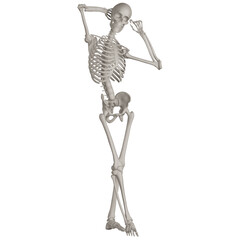 skeleton posing 3d render illustration with transparent background