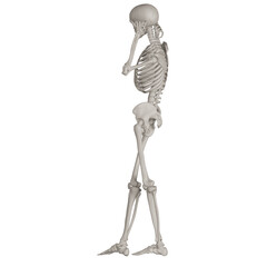 skeleton posing 3d render illustration with transparent background