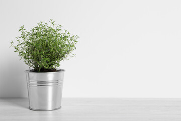 Aromatic green potted thyme on white wooden table. Space for text