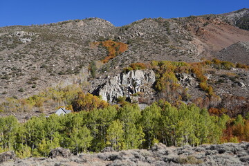 landscape with sky