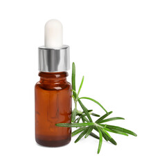 Sprig of fresh rosemary and essential oil on white background