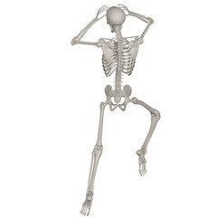 skeleton posing 3d render illustration with transparent background