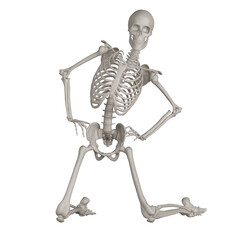 skeleton posing 3d render illustration with transparent background	
