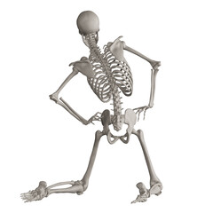 skeleton posing 3d render illustration