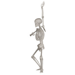 skeleton posing 3d render illustration