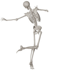 skeleton posing 3d render illustration
