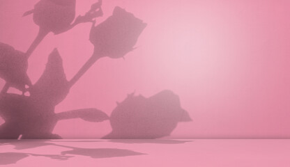 Pink Background Abstract Shadow Rose Flower Spring Summer Table Product Light on Studio Wall Floor...