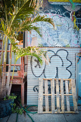 graffiti in Brooklyn, New York with a palm tree in front