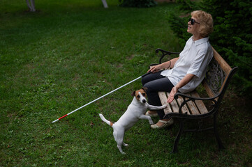An elderly blind woman sits on a bench in the park. Old woman on a walk with a dog jack russell...