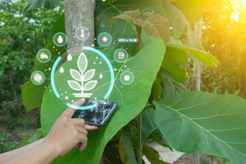 Ai smart farming agriculture concept. People holding smartphone monitor and track agricultural...