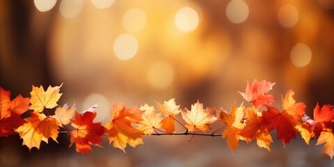 Naklejka na ściany i meble autumn background with border of orange, generative AI