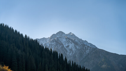 autumn in the foothills. snowy mountain peaks. forest at the foot of the mountains