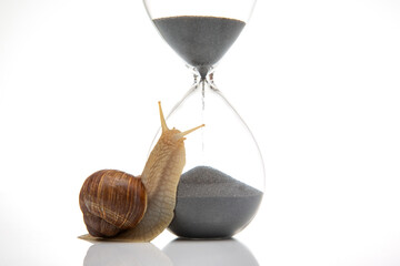 Snail and hourglass on a white background. The concept of slow time. Speed ​​of time in a day