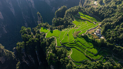 Fototapeta na wymiar aerial view of a green field on top of a mountain cliff