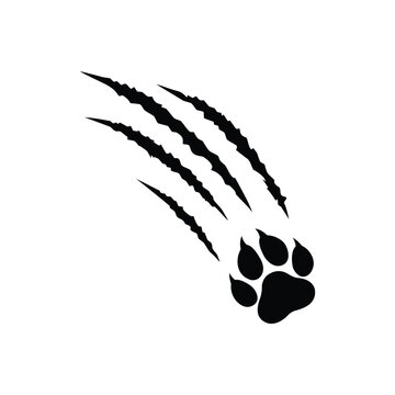 animal paw print with claw marks silhouette