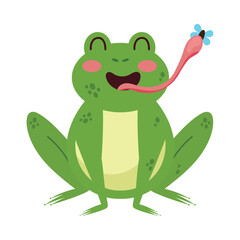 frog eating fly isolated