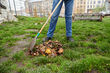 A man diligently maintains the garden by collecting old, dry leaves, creating a picturesque scene of outdoor care and seasonal tidiness.