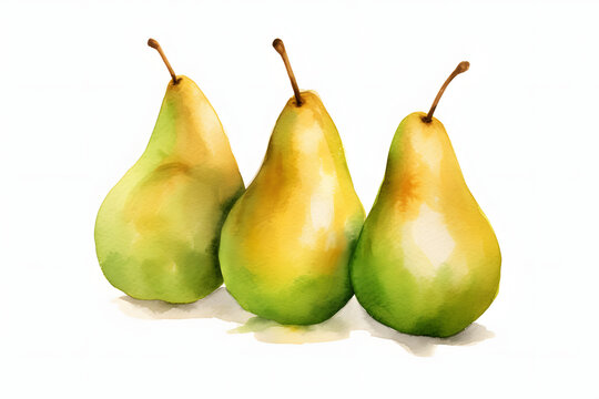 Pear fresh watercolor art style
