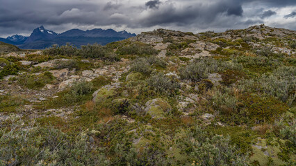 Typical vegetation of southern Patagonia. Stunted bushes, grass, and a plant endemic to South America, Yareta, grow on stony soil. Mountains against a cloudy sky. Bridges Island. Argentina.