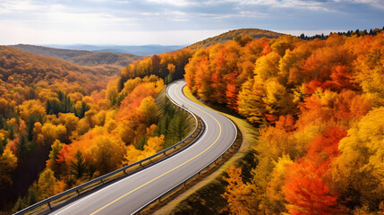Imagine a winding road meandering through a dense forest during peak autumn. 