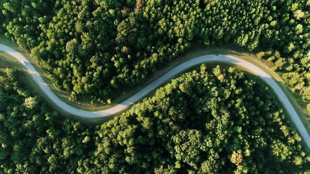 cinematic birds eye view shot of a white car driving down a long and bendy road in italy during a lovely sunny day.