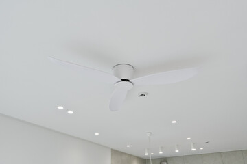 Ceiling ceiling fans, which have been installed for a long time in Europe and the United States,...