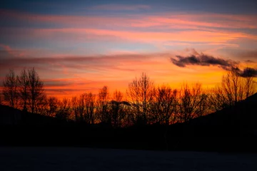Foto op Plexiglas sunset in the field © Rico