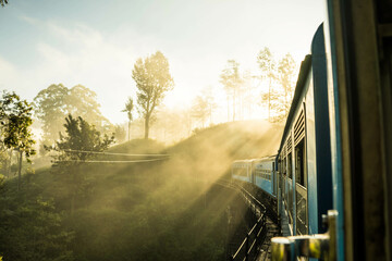 golden hour sunlight streaming through the mist