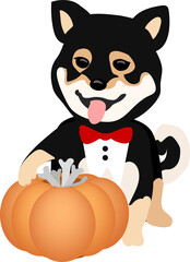 Dog Halloween Costumes