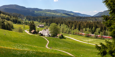 Farm near Hinterzarten in the Black Forest in Germany